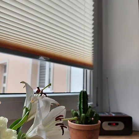 Na Rynku Apartment *