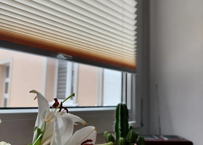 Na Rynku Apartment *